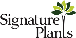 Signature Plants Logo