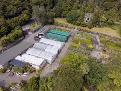 wholesale-nursery-auckland-oratia-DJI_0129